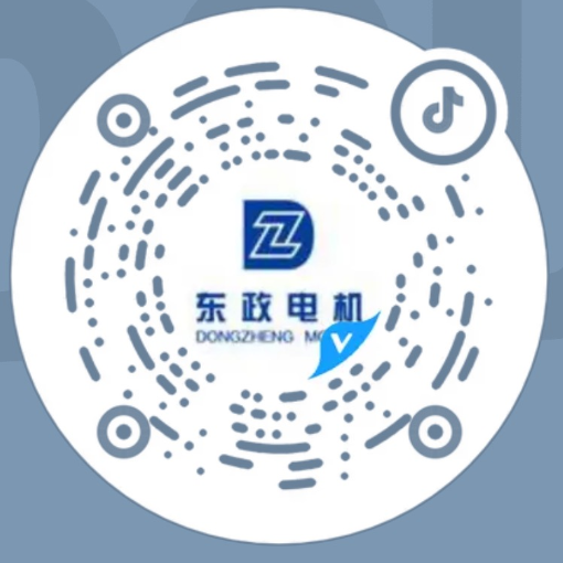 Zhejiang Dongzheng Motor Co.,Ltd.